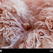 A close-up of a soft, delicate fabric layer.
