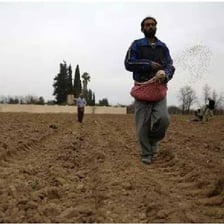 A person scattering seed across soil.
