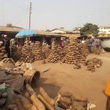 Large yam tubers displayed at a Nigerian market.
