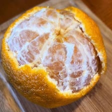 The pale fibrous pith beneath the peel of a citrus fruit.