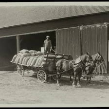 A horse-drawn coach travelling slowly