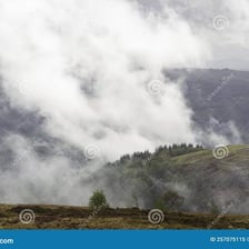 Visible vapour or mist rising in a rainy landscape