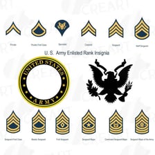 A badge displaying a military rank insignia.