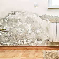 Damp rising from the base of an interior wall