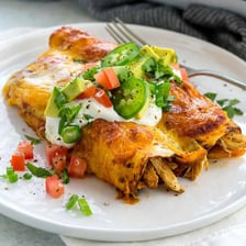 A plated enchilada covered with sauce and melted cheese