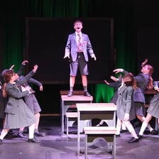 An actor giving a performance on a theatre stage.