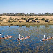 A photograph of the Okavango Delta landscape in Botswana.