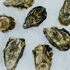 Open and closed oysters displayed at a seafood market