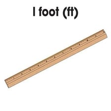 An illustration showing a foot-length measurement with a ruler.