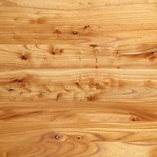 A cut elm timber plank showing its wood grain.