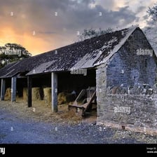 A simple farm byre used for housing animals.
