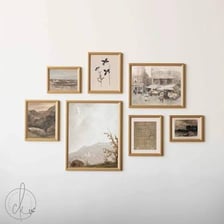 Framed illustrations displayed on a gallery wall.