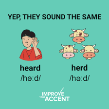 An educational illustration contrasting a herd of deer with the homophone HEARD