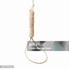 A close-up of a rope tied as a noose.