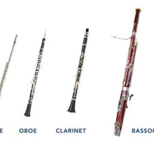 A wooden oboe, a double-reed musical instrument.