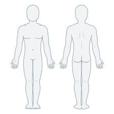An educational illustration showing the outline of a human body.
