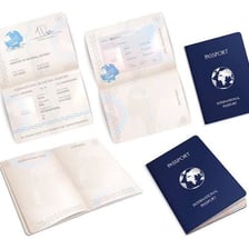 An open passport displaying identity and travel-document pages.