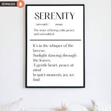 A simple educational illustration showing DIP inserted into SERENITY.