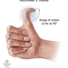 A hitchhiker holding up a thumb to request a lift