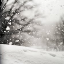 Light snow falling in a brief flurry