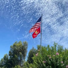 A flag flying from a pole as a standard