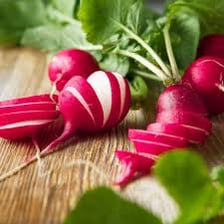 A fresh red radish with its green leaves.
