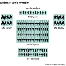 Soldiers arranged in a military formation.