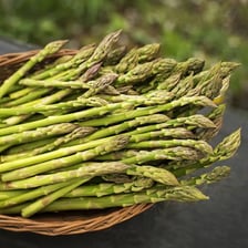 Green asparagus spears arranged as a vegetable ingredient