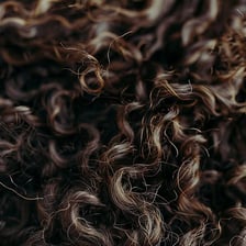 A close-up of a curly lock of hair.