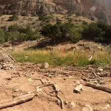 Sound waves echoing through a canyon