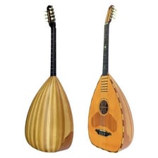 A lute, a plucked stringed musical instrument