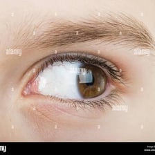 A close-up depiction of eyes looking toward one side.