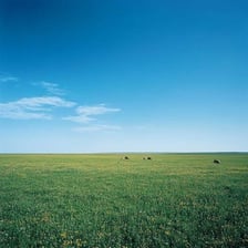A grassy meadow landscape.