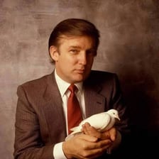 A portrait of Donald Trump