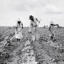 A farm labourer working in a rural field.
