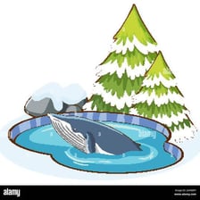 An educational illustration showing a whale pod and a pond