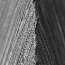 The sharp cutting edge of a blade