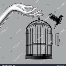 A hand opening a cage to release a bird.