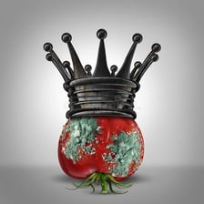 An object shown in a visibly degraded or corrupt state