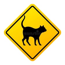 A symbolic sign interpreted as an omen