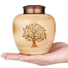 A close view of grey ashes held in an urn.
