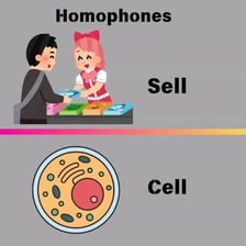 A simple educational illustration contrasting the words sells and cells