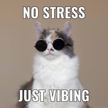 A humorous image formatted as an internet meme