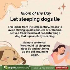 A dog sleeping peacefully, illustrating the proverb “let sleeping dogs lie.”
