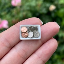 A very small amount of coins illustrating something scant or minimal.