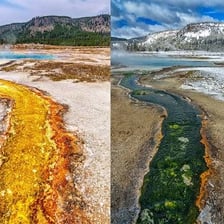A landscape shown across changing seasons