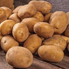 A fresh potato shown as a common root vegetable.
