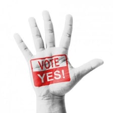 People casting affirmative votes by raising their hands