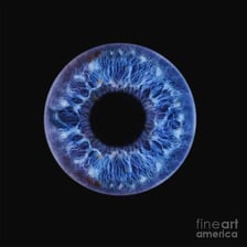 A close-up view of a human eye showing the iris surrounding the pupil.
