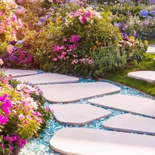 A narrow walkway winding through a garden.